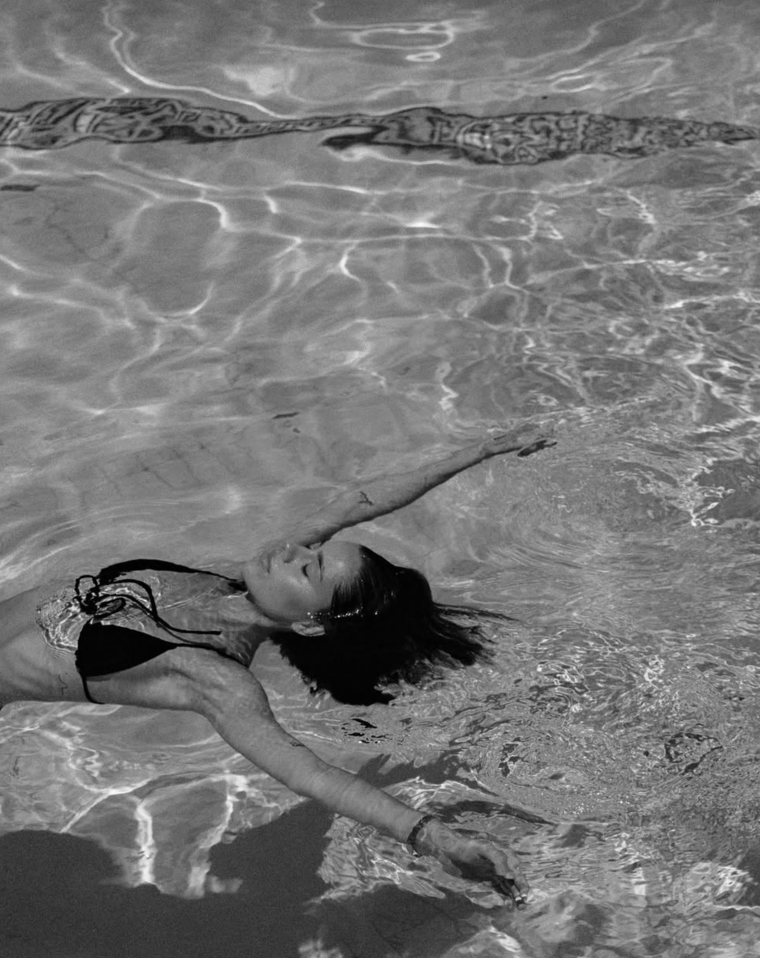 A quiet, golden moment in the water